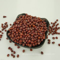 Adzuki bean 2016 cosecha 4.5-6.0mm mercado de China con alta calidad